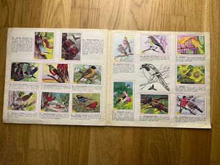 Uccelli, Piccola Enciclopedia del Sapere, 1978