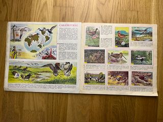 Uccelli, Piccola Enciclopedia del Sapere, 1978