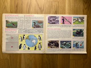 Uccelli, Piccola Enciclopedia del Sapere, 1978