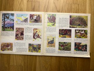 Uccelli, Piccola Enciclopedia del Sapere, 1978