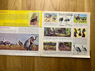 Uccelli, Piccola Enciclopedia del Sapere, 1978