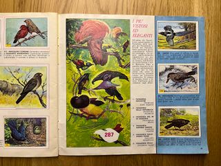 Uccelli, Piccola Enciclopedia del Sapere, 1978