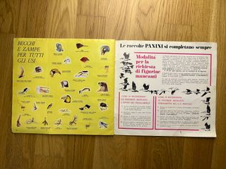 Uccelli, Piccola Enciclopedia del Sapere, 1978