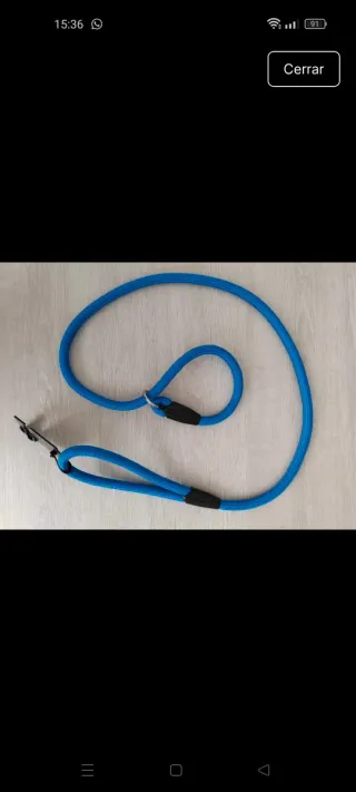 Correa para mascotas azul