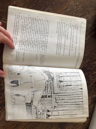 Rimas y Leyendas (Biblioteca Didactica Anaya) (...