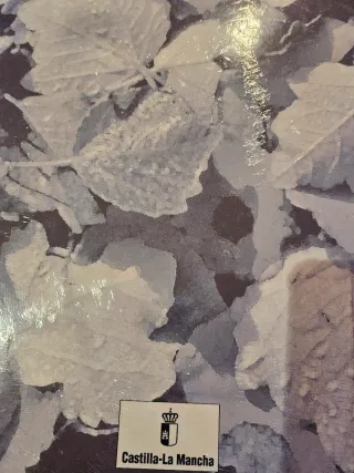 Libro Ríos de Castilla-La Mancha