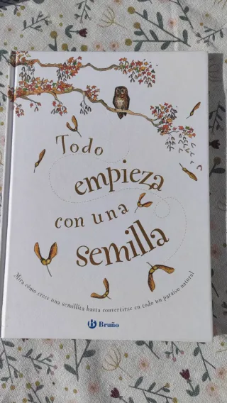 Todo empieza con una semilla cuento infantil
