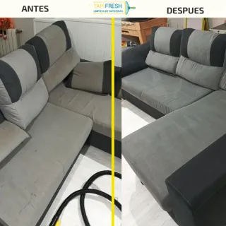 sofá colchón alfombra coche