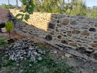 Reparación y construcción de muros