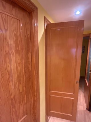 Puertas de armario de madera