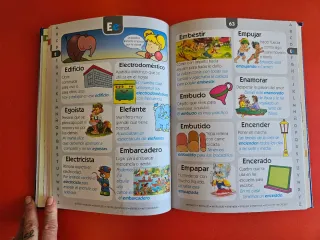 Mi Primer Gran Diccionario