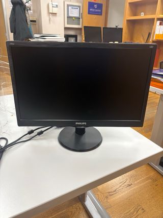 Monitor Philips 20 in buone condizioni