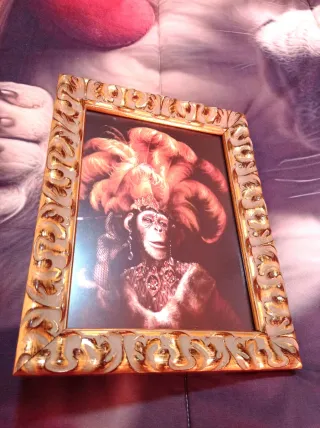 Variedad Cuadros Únicos