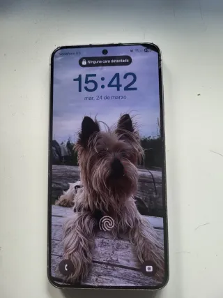 Samsung Galaxy S25 256GB Negro