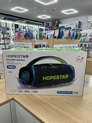 Altavoz Portátil HOPESTAR A65 300W