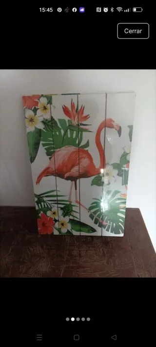 Set 2 Cuadros Flamencos y Flores