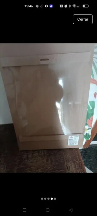 Set 2 Cuadros Flamencos y Flores