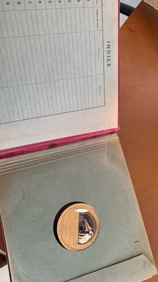 Álbum de Vinilos para gramófono