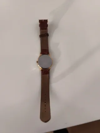 Reloj Festina 8834 Oro y Marrón