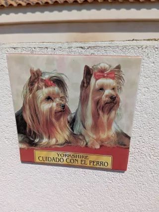 Azulejo decorativo Yorkshire