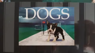 Sellos de Papúa Nueva Guinea "Perros"