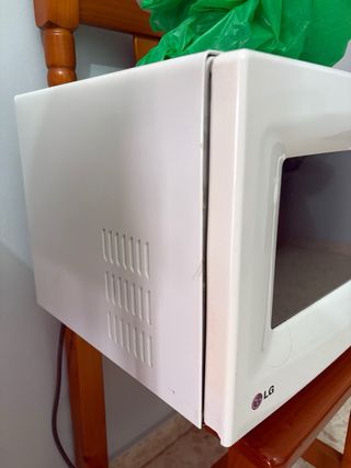 Microondas LG de acero inoxidable + maceta regalo