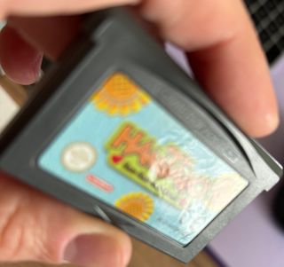 Hamtaro Ham-Ham Heartbreak GBA