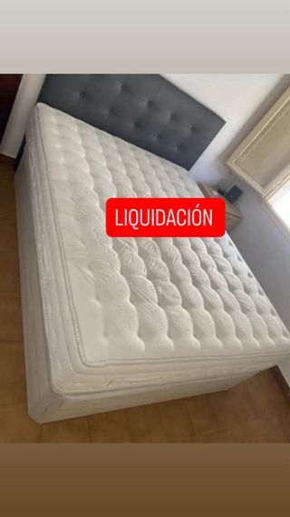 Canape canape canape canape canape canape canape