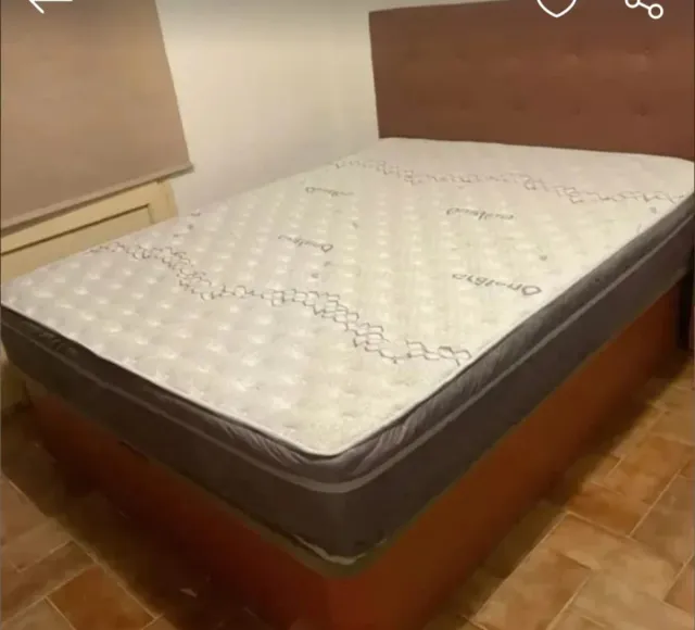 Canapé canapé canapé canapé canapé canapé canapé c