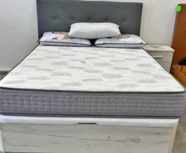 Canapé canapé canapé canapé canapé canapé canapé c