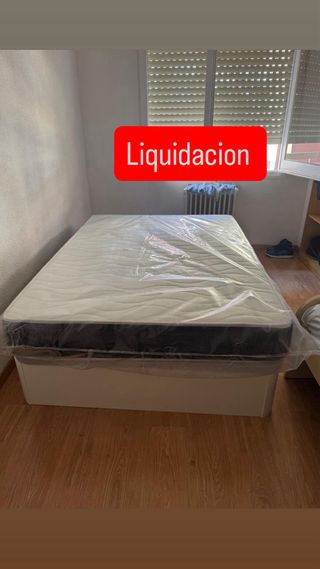 Canape Canape Canape Canape Canape Canape Canape