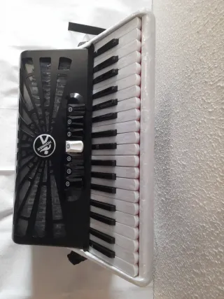 Acordeón Hohner Bravo 96 bajos