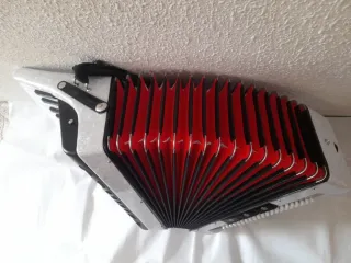Acordeón Hohner Bravo 96 bajos