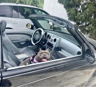 Crysler Tpcruiser  2007