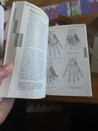 Atlas de Anatomía Tomo I