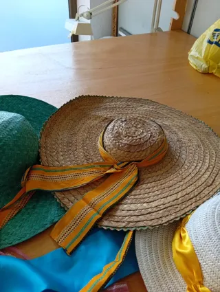 Lote de sombreros pamelas