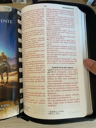 BIBLIA REINA VALERA 1960 HÉROES LETRA GRANDE