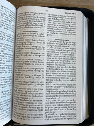 BIBLIA REINA VALERA 1960 HÉROES LETRA GRANDE