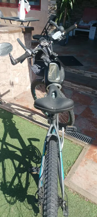 Bicicleta de Montaña