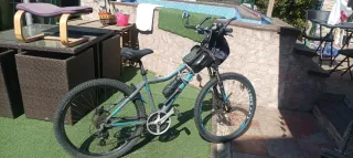Bicicleta de Montaña