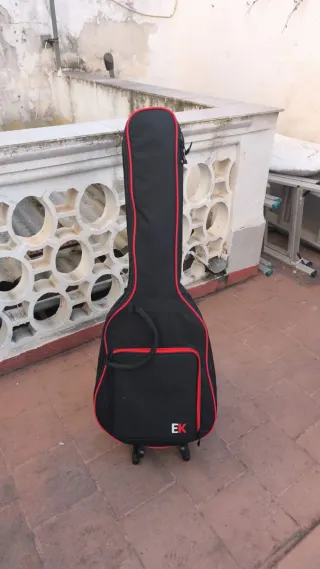 Guitarra Eléctrica Arial Proll STG Series