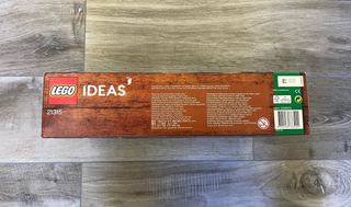 LEGO Ideas 21315 Libro Pop-Up