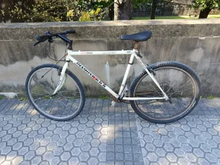 Diamond Back BTT Cuadro