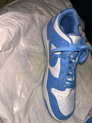 Zapatillas Nike Dunk Low Azul y Blanco