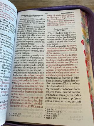 Biblia Para Mujer Letra Gigante 14 puntos Manual