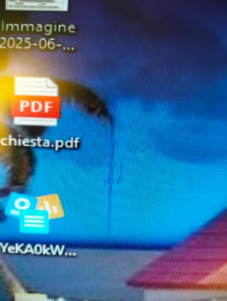 Monitor Acer v193w 19 pollici