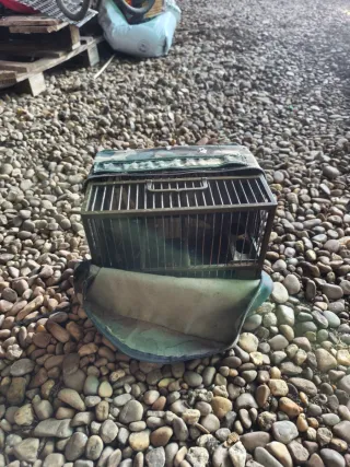 Jaulas Silvestrismo con Fundas Camuflaje