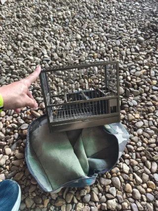 Jaulas Silvestrismo con Fundas Camuflaje