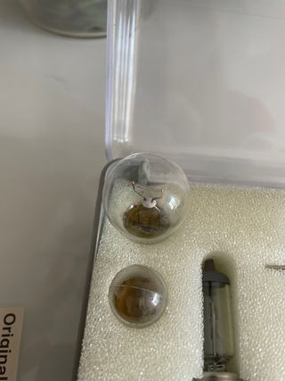 Bombillas Originales BMW 72 60 8 370 321