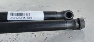 AMORTIGUADORES MALETERO / PORTON FORD C-MAX (CB3)